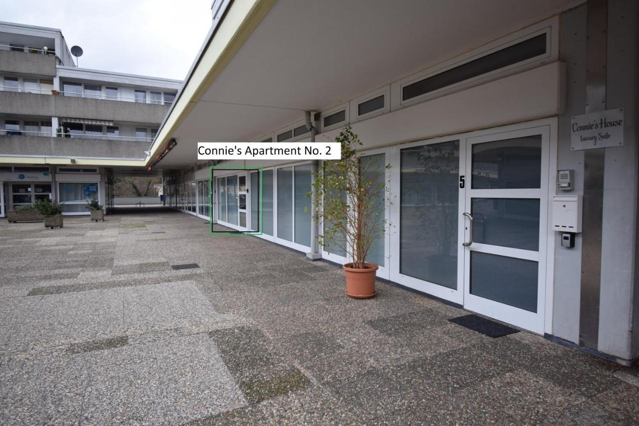 Connie'S Apartments Χαϊδελβέργη Εξωτερικό φωτογραφία